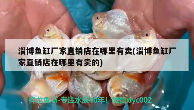 淄博魚缸廠家直銷店在哪里有賣(淄博魚缸廠家直銷店在哪里有賣的)