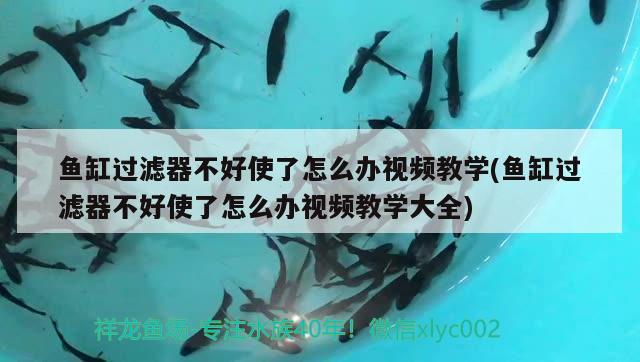 魚缸過(guò)濾器不好使了怎么辦視頻教學(xué)(魚缸過(guò)濾器不好使了怎么辦視頻教學(xué)大全)