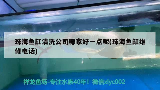 珠海魚缸清洗公司哪家好一點呢(珠海魚缸維修電話)