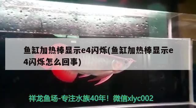 魚(yú)缸加熱棒顯示e4閃爍(魚(yú)缸加熱棒顯示e4閃爍怎么回事)