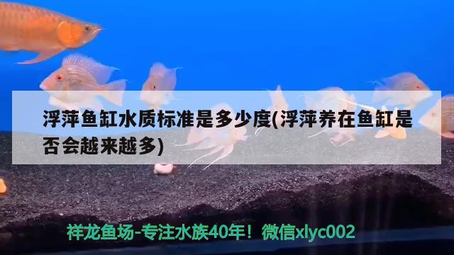 浮萍魚缸水質(zhì)標準是多少度(浮萍養(yǎng)在魚缸是否會越來越多) 檸檬鯽