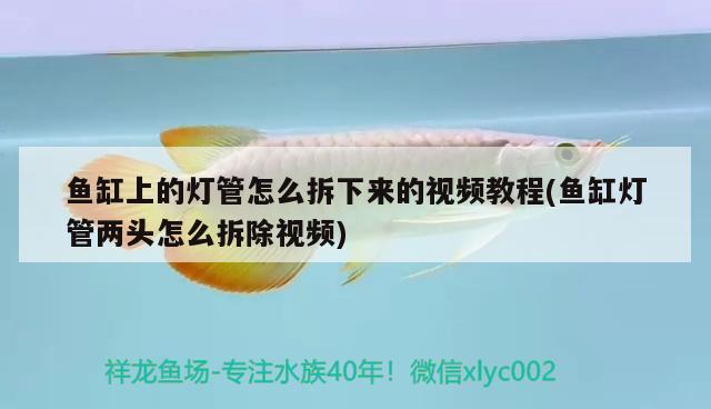 魚(yú)缸上的燈管怎么拆下來(lái)的視頻教程(魚(yú)缸燈管兩頭怎么拆除視頻)