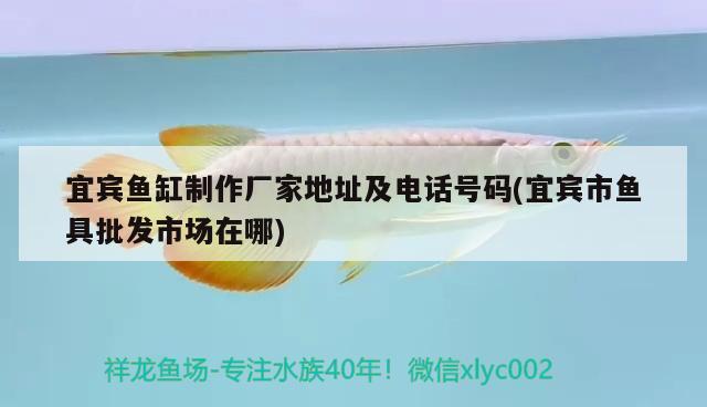 宜賓魚(yú)缸制作廠家地址及電話號(hào)碼(宜賓市魚(yú)具批發(fā)市場(chǎng)在哪) 龍魚(yú)專用燈