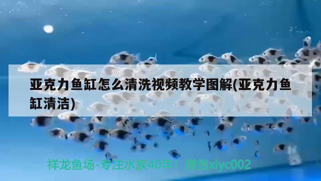 亞克力魚缸怎么清洗視頻教學(xué)圖解(亞克力魚缸清潔)