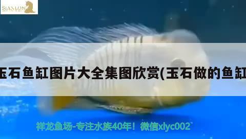 玉石魚缸圖片大全集圖欣賞(玉石做的魚缸) 賽級紅龍魚