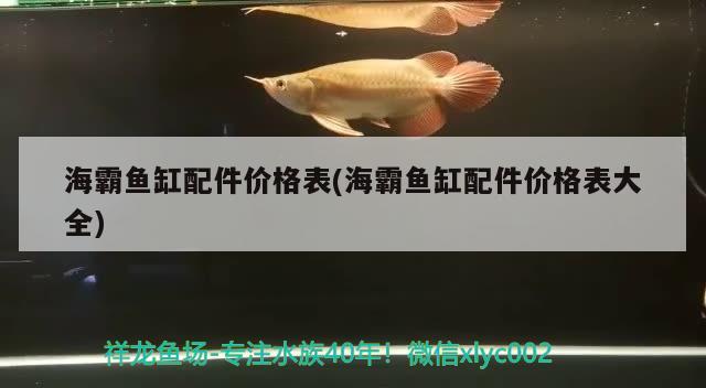 海霸魚缸配件價(jià)格表(海霸魚缸配件價(jià)格表大全)