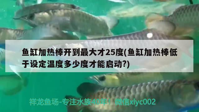 魚缸加熱棒開到最大才25度(魚缸加熱棒低于設(shè)定溫度多少度才能啟動?)