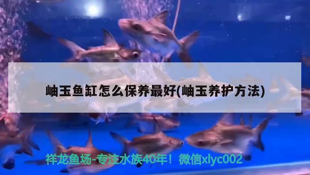 岫玉魚缸怎么保養(yǎng)最好(岫玉養(yǎng)護(hù)方法)