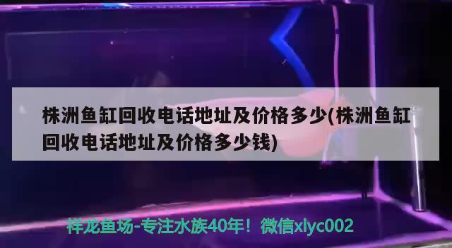 株洲魚缸回收電話地址及價格多少(株洲魚缸回收電話地址及價格多少錢) 粗線銀版魚苗