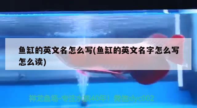 魚缸的英文名怎么寫(魚缸的英文名字怎么寫怎么讀) 森森魚缸