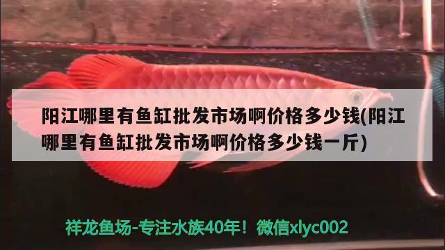 陽江哪里有魚缸批發(fā)市場啊價格多少錢(陽江哪里有魚缸批發(fā)市場啊價格多少錢一斤)