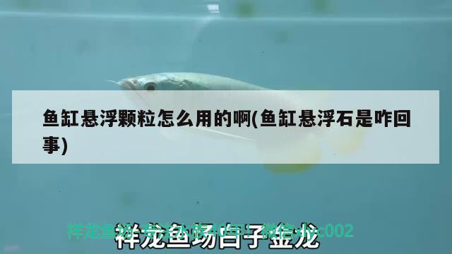 魚缸懸浮顆粒怎么用的啊(魚缸懸浮石是咋回事)