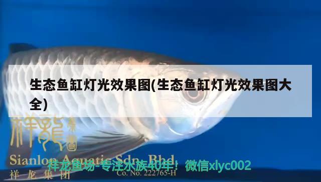 生態(tài)魚缸燈光效果圖(生態(tài)魚缸燈光效果圖大全) 虎斑恐龍魚