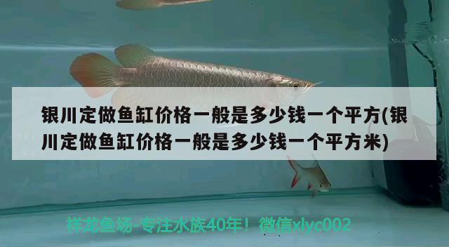 銀川定做魚缸價(jià)格一般是多少錢一個(gè)平方(銀川定做魚缸價(jià)格一般是多少錢一個(gè)平方米)