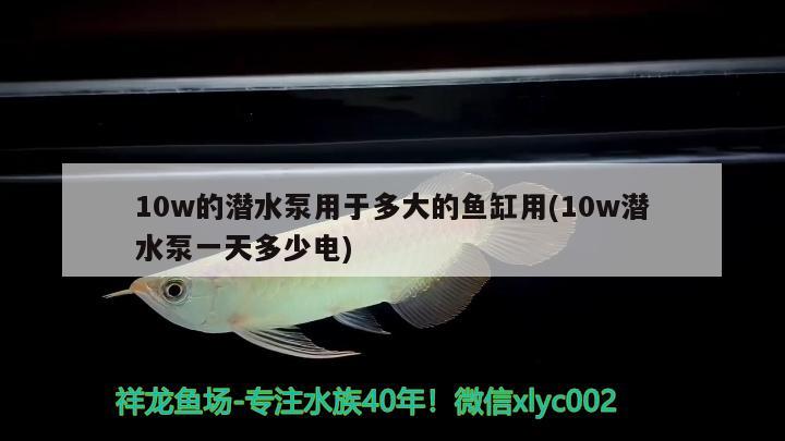 10w的潛水泵用于多大的魚(yú)缸用(10w潛水泵一天多少電) 肺魚(yú)