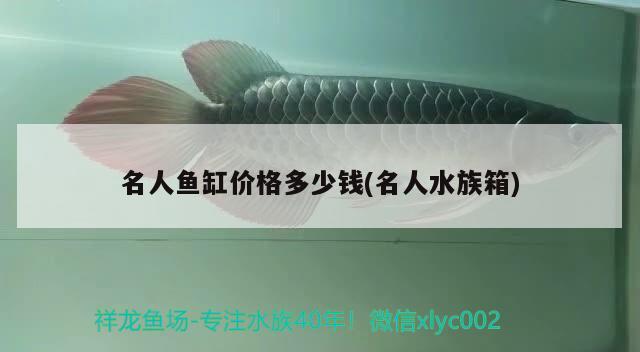 名人魚(yú)缸價(jià)格多少錢(名人水族箱)