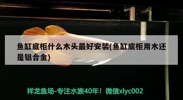 魚缸底柜什么木頭最好安裝(魚缸底柜用木還是鋁合金) 其它水族用具設(shè)備