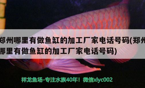 鄭州哪里有做魚缸的加工廠家電話號碼(鄭州哪里有做魚缸的加工廠家電話號碼)