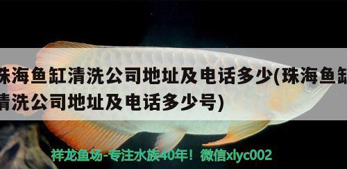 珠海魚缸清洗公司地址及電話多少(珠海魚缸清洗公司地址及電話多少號(hào)) 龍魚芯片掃碼器