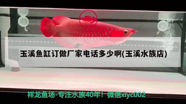 玉溪魚缸訂做廠家電話多少啊(玉溪水族店)