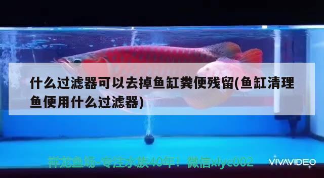 什么過濾器可以去掉魚缸糞便殘留(魚缸清理魚便用什么過濾器) 雪龍魚