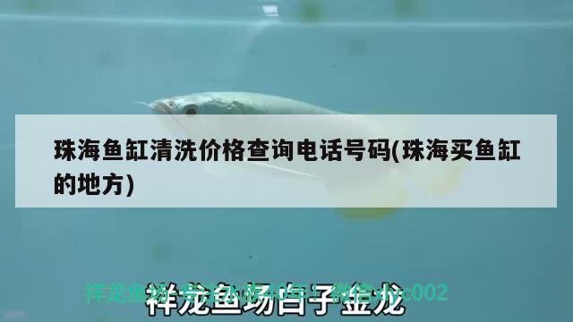 珠海魚(yú)缸清洗價(jià)格查詢電話號(hào)碼(珠海買(mǎi)魚(yú)缸的地方)