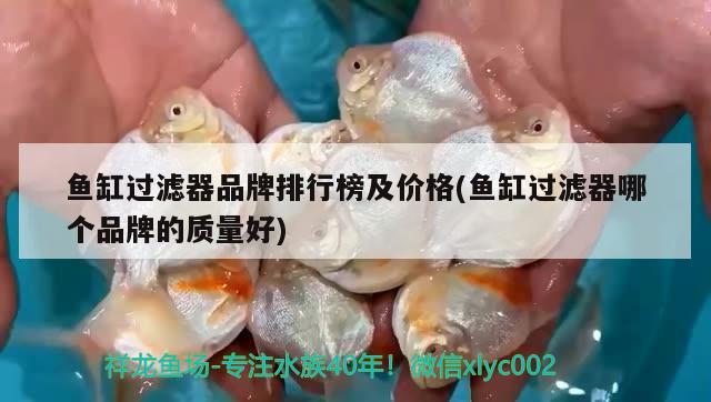 魚缸過濾器品牌排行榜及價格(魚缸過濾器哪個品牌的質(zhì)量好)