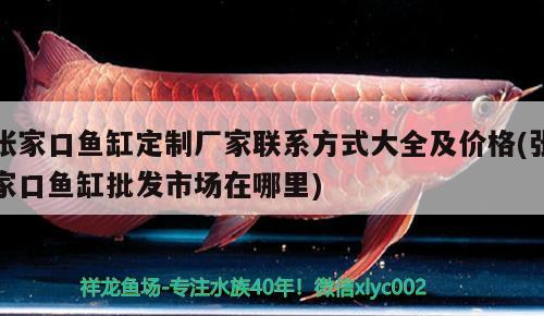 張家口魚缸定制廠家聯(lián)系方式大全及價格(張家口魚缸批發(fā)市場在哪里)