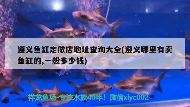 遵義魚缸定做店地址查詢大全(遵義哪里有賣魚缸的,一般多少錢)