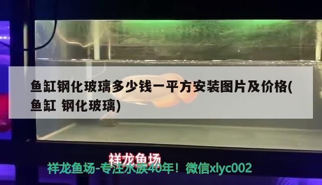 魚缸鋼化玻璃多少錢一平方安裝圖片及價格(魚缸鋼化玻璃) 黑白雙星