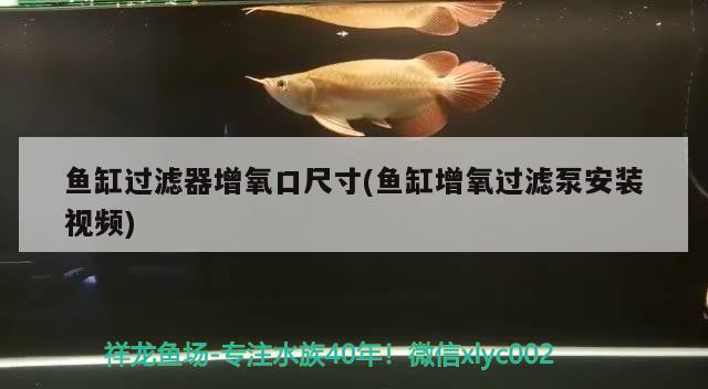 魚缸過(guò)濾器增氧口尺寸(魚缸增氧過(guò)濾泵安裝視頻)