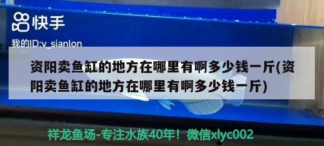 資陽賣魚缸的地方在哪里有啊多少錢一斤(資陽賣魚缸的地方在哪里有啊多少錢一斤)