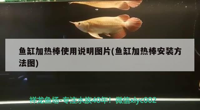 魚缸加熱棒使用說明圖片(魚缸加熱棒安裝方法圖)