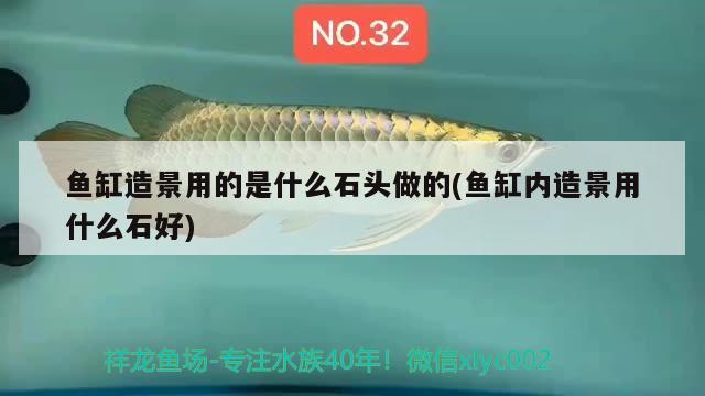 魚缸造景用的是什么石頭做的(魚缸內造景用什么石好) 水族燈（魚缸燈）