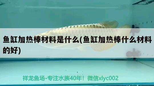 魚缸加熱棒材料是什么(魚缸加熱棒什么材料的好)