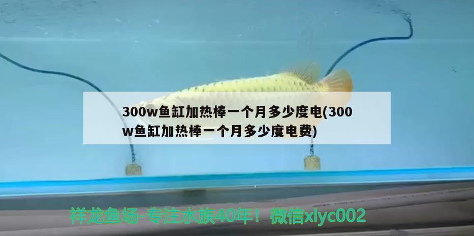 300w魚缸加熱棒一個月多少度電(300w魚缸加熱棒一個月多少度電費) 充氧泵