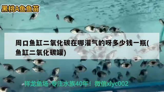 周口魚缸二氧化碳在哪灌氣的呀多少錢一瓶(魚缸二氧化碳罐)