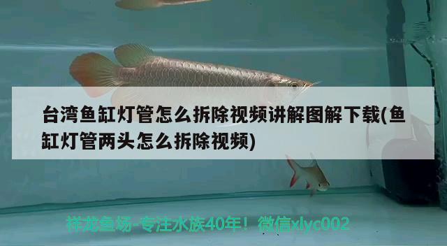 臺(tái)灣魚缸燈管怎么拆除視頻講解圖解下載(魚缸燈管兩頭怎么拆除視頻) 伊巴卡魚