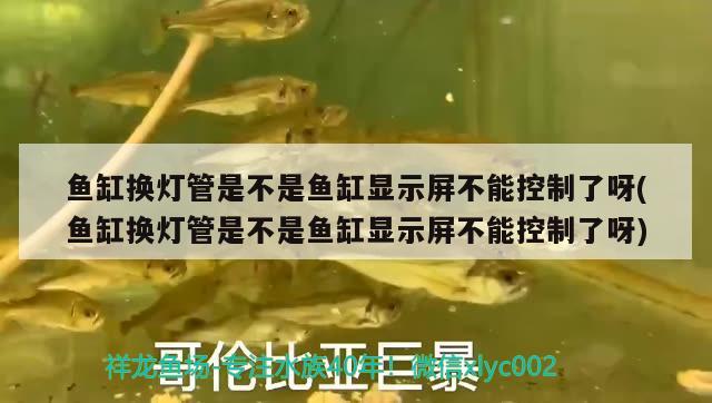 魚缸換燈管是不是魚缸顯示屏不能控制了呀(魚缸換燈管是不是魚缸顯示屏不能控制了呀) 造景/裝飾