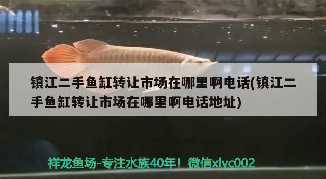 鎮(zhèn)江二手魚缸轉讓市場在哪里啊電話(鎮(zhèn)江二手魚缸轉讓市場在哪里啊電話地址)