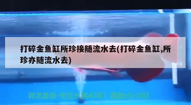 打碎金魚缸所珍接隨流水去(打碎金魚缸,所珍亦隨流水去)