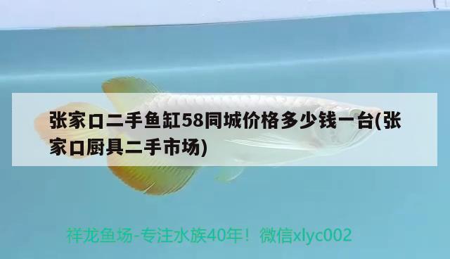 張家口二手魚缸58同城價格多少錢一臺(張家口廚具二手市場) 白玉紅龍魚