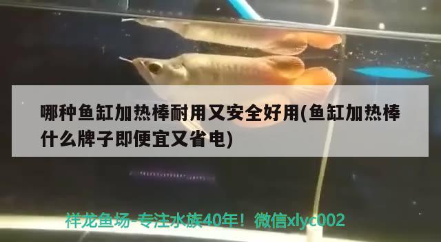 哪種魚缸加熱棒耐用又安全好用(魚缸加熱棒什么牌子即便宜又省電) 黑金魟魚