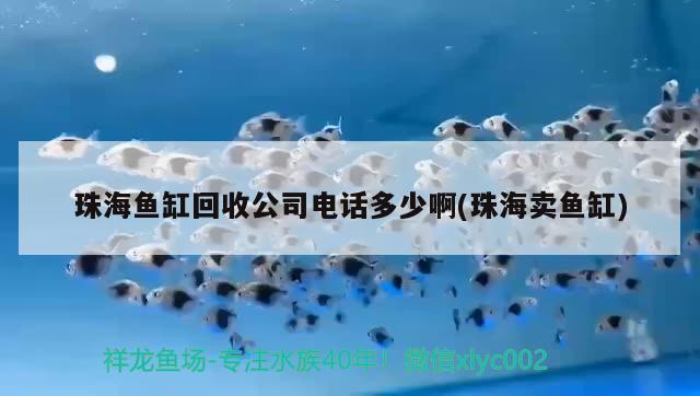 珠海魚缸回收公司電話多少啊(珠海賣魚缸)