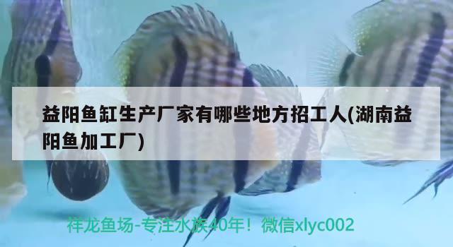 益陽魚缸生產(chǎn)廠家有哪些地方招工人(湖南益陽魚加工廠) 大湖紅龍魚