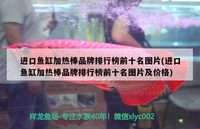 進口魚缸加熱棒品牌排行榜前十名圖片(進口魚缸加熱棒品牌排行榜前十名圖片及價格) 龍魚芯片掃碼器