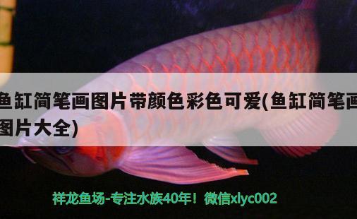 魚缸簡(jiǎn)筆畫圖片帶顏色彩色可愛(魚缸簡(jiǎn)筆畫圖片大全)