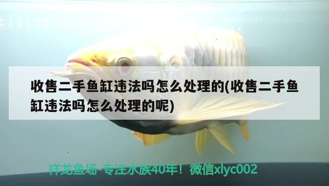 收售二手魚(yú)缸違法嗎怎么處理的(收售二手魚(yú)缸違法嗎怎么處理的呢)