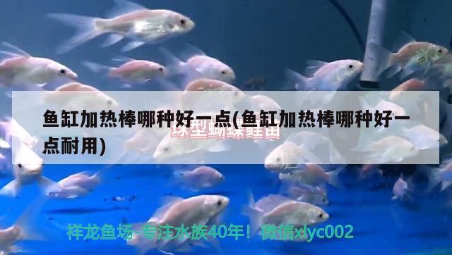 魚缸加熱棒哪種好一點(diǎn)(魚缸加熱棒哪種好一點(diǎn)耐用) 黃金夢幻雷龍魚