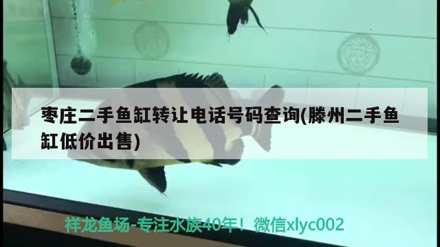 棗莊二手魚缸轉讓電話號碼查詢(滕州二手魚缸低價出售) 水族用品